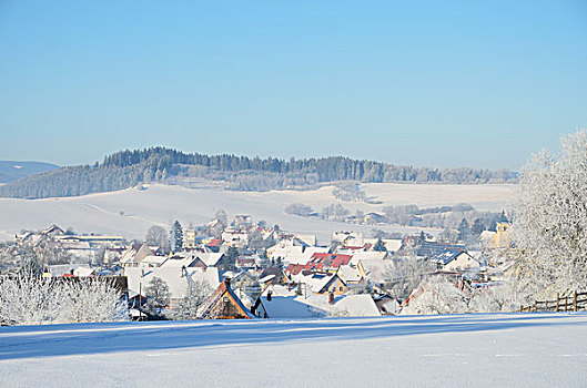 冬季风景,靠近,黑色,地区,巴登符腾堡,德国
