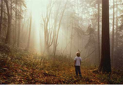 男孩,站立,模糊,树林,盐春岛,不列颠哥伦比亚省,加拿大