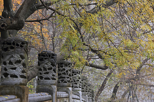 南京明孝陵雾景