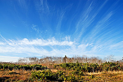 黑龙江凤凰山风景