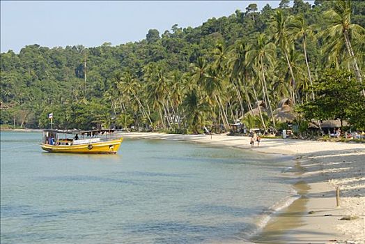 船,沙滩,椰树,树,寂静沙滩,帽子,泰国