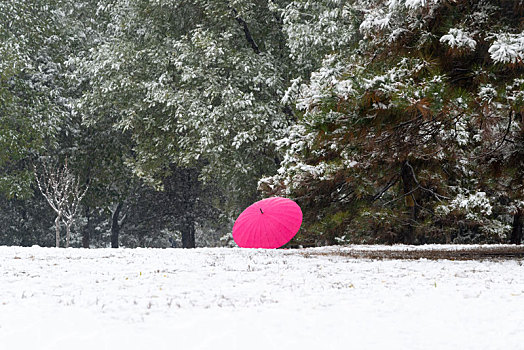 下雪天红伞