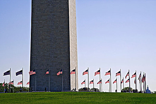 美国,华盛顿,50,美国国旗,围绕,华盛顿纪念碑