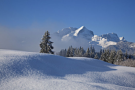 冬季风景,风景,阿尔卑斯峰,加米施帕藤基兴,巴伐利亚,德国