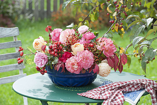 安放,老,蛋糕,玫瑰,野玫瑰果,花园桌