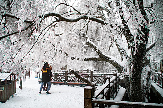 张家界天门山雪景