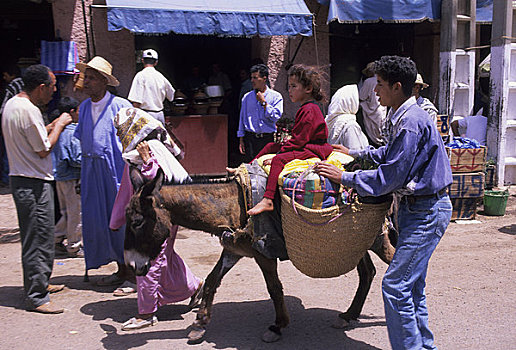 摩洛哥,靠近,玛拉喀什,阿特拉斯山脉,市场,女孩,驴