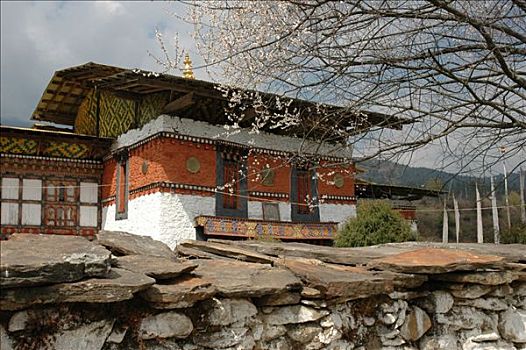 不丹,喜马拉雅山