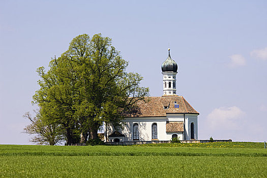乡村,教堂,巴伐利亚,德国