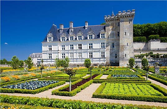 维兰多利城堡,花园,卢瓦尔河,中心,法国