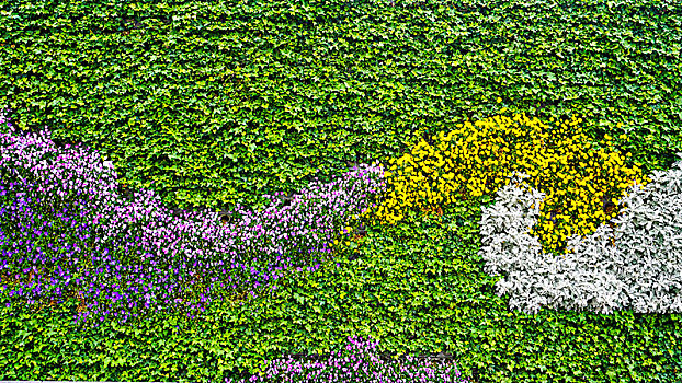 鲜花植物绿化墙