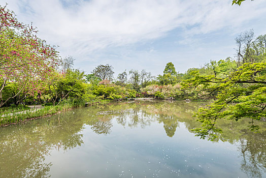 中国江苏南京栖霞山桃花涧的池塘桃花和园林建筑