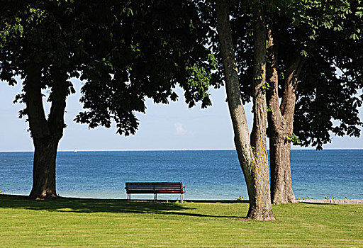 长椅,海洋,丹麦