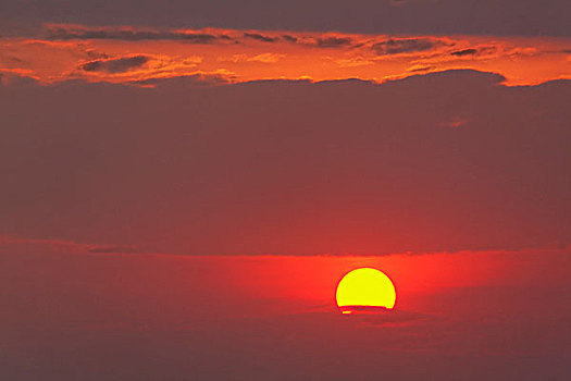 日落,天空,塞伦盖蒂国家公园,坦桑尼亚