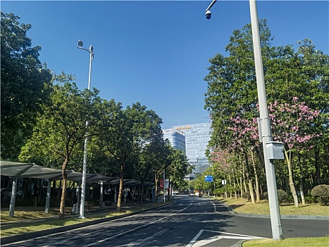 广州黄埔高新技术开发区干净整洁的街道与蓝天白云