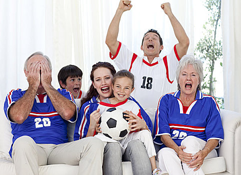 家庭,看,足球赛,电视