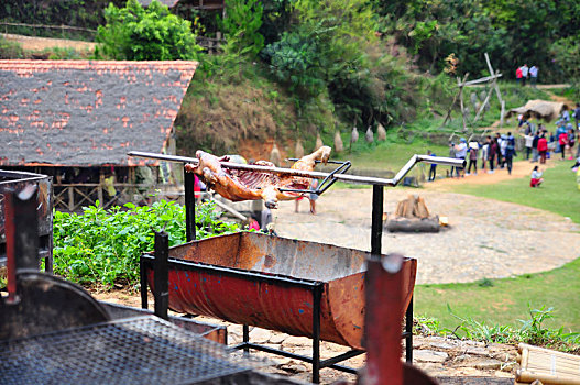 烧烤,猪,热,木碳,乡村,越南