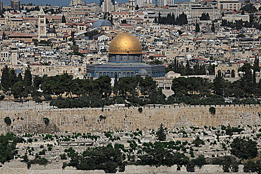 风景,老城,耶路撒冷,展示,穹顶,石头,橄榄