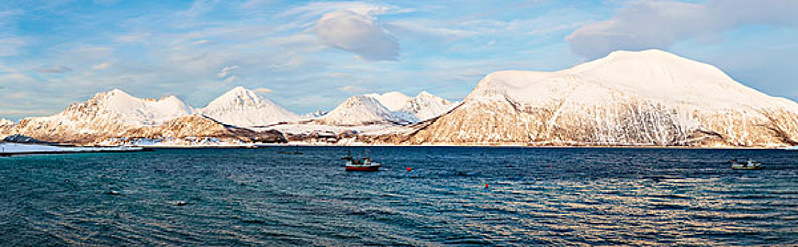 积雪,山,峡湾,纯,北极,冬季风景