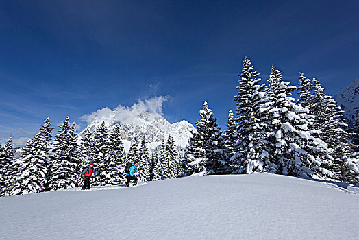 雪鞋,旅游,靠近,埃尔瓦尔德,山,提洛尔,奥地利