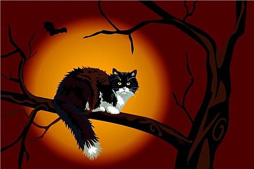 黑猫,枯枝,万圣节,夜晚