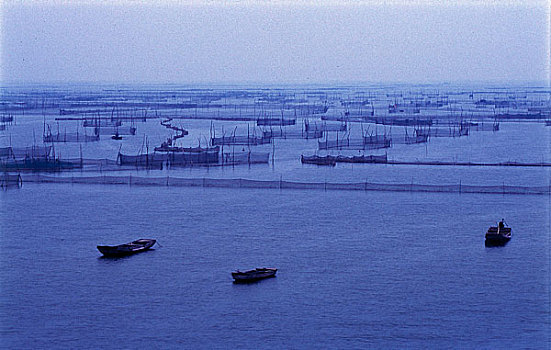 山东东平湖湿地