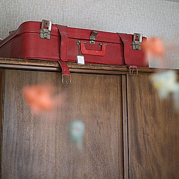 静物,红色,手提箱
