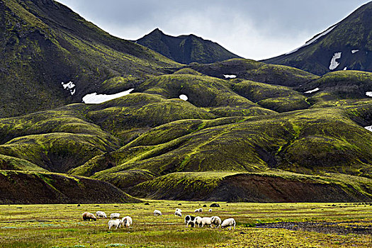 兰德玛纳,冰岛高地