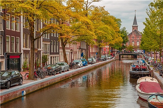 阿姆斯特丹,运河,教堂,特色,房子,荷兰