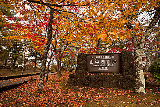 日本山中湖公园
