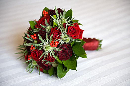 新娘手花,玫瑰,刺芹属植物