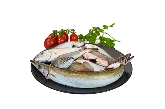 鱼肉,种类,地中海,大浅盘,黑色背景,盘子