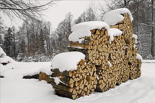 积雪,堆,木柴