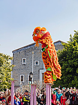 醒狮,舞狮,春节,中国文化