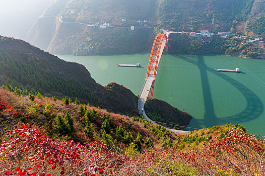 重庆巫山,红叶满山,游客如织