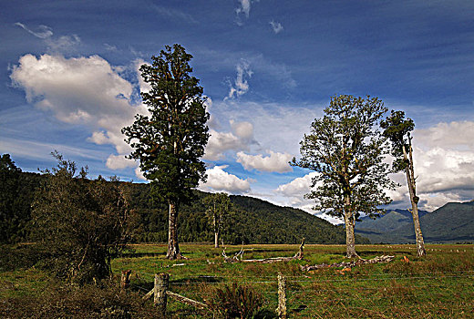 马瑟森湖lake,matheson