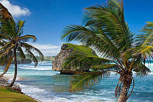 东海岸,巴巴多斯,西印度群岛