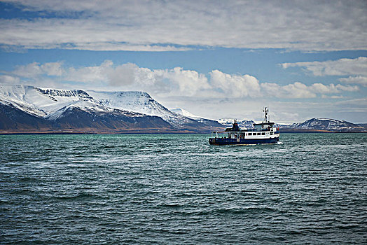 冰岛,雷克雅未克,港口,船,湾