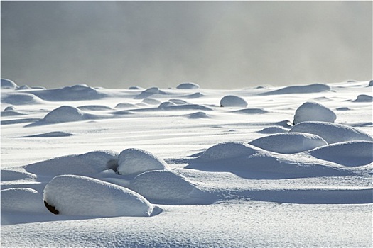 雪,火山岩,冰岛