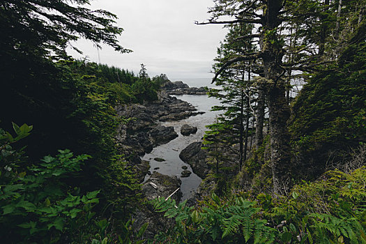 遥远,沿岸,风景,岛屿,悬崖,云