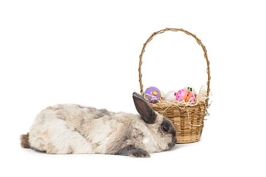 绒毛状,兔子,篮子,复活节彩蛋