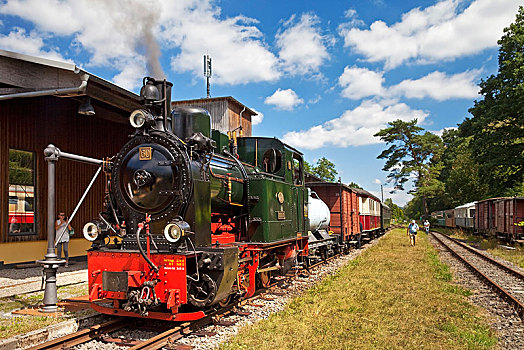 蒸汽,铁路,车站,藻厄兰,北莱茵威斯特伐利亚,德国,欧洲