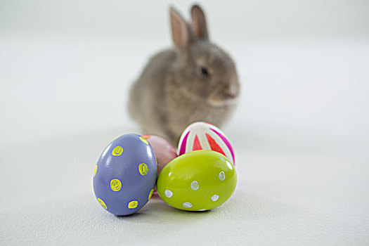 复活节彩蛋,复活节兔子,白色背景,背景