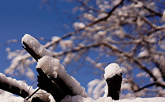 地坛公园雪景