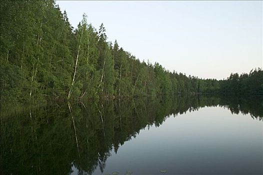 湖,树林,瑞典