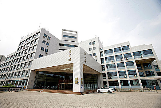 人与城联动 催热春日里“奔跑的经济”