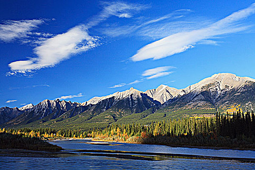 弓河,弓形谷,山,女士,背景,靠近,艾伯塔省,加拿大,落基山脉