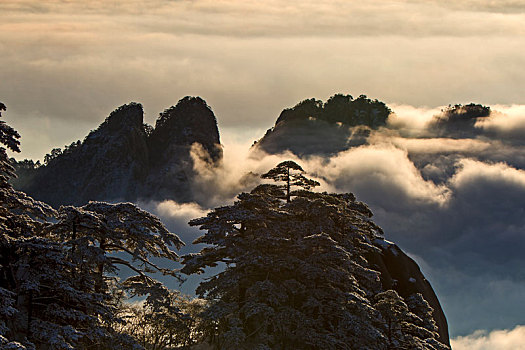 大美黄山