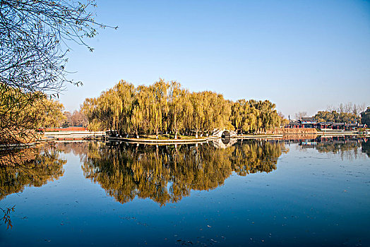 山东济南章丘百脉泉万泉湖的秋色