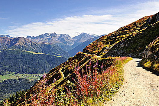 走,小路,贝特默阿尔卑,瓦莱,阿尔卑斯山,地平线,瓦莱州,瑞士,欧洲